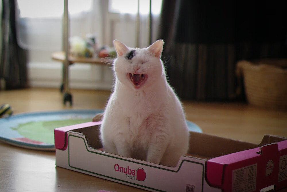 华体会体育-黑马风暴席卷赛道，当山西队以F1战术收割马刺旧王权杖